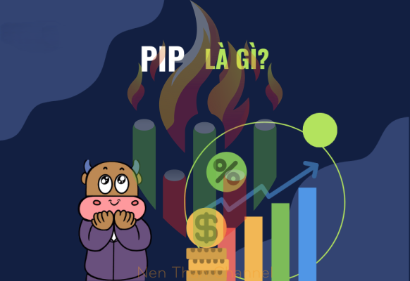 PIP la gi 1
